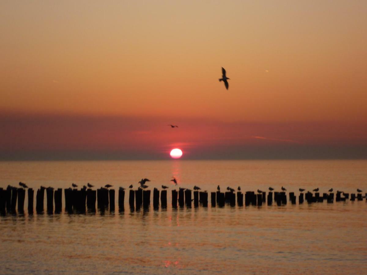 Vakantiehuis Domburg, Kindvriendelijk Do02 المظهر الخارجي الصورة